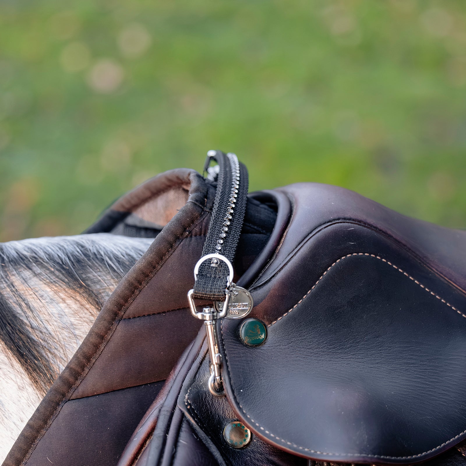 Sangle de selle EQUEST avec bande de cristal