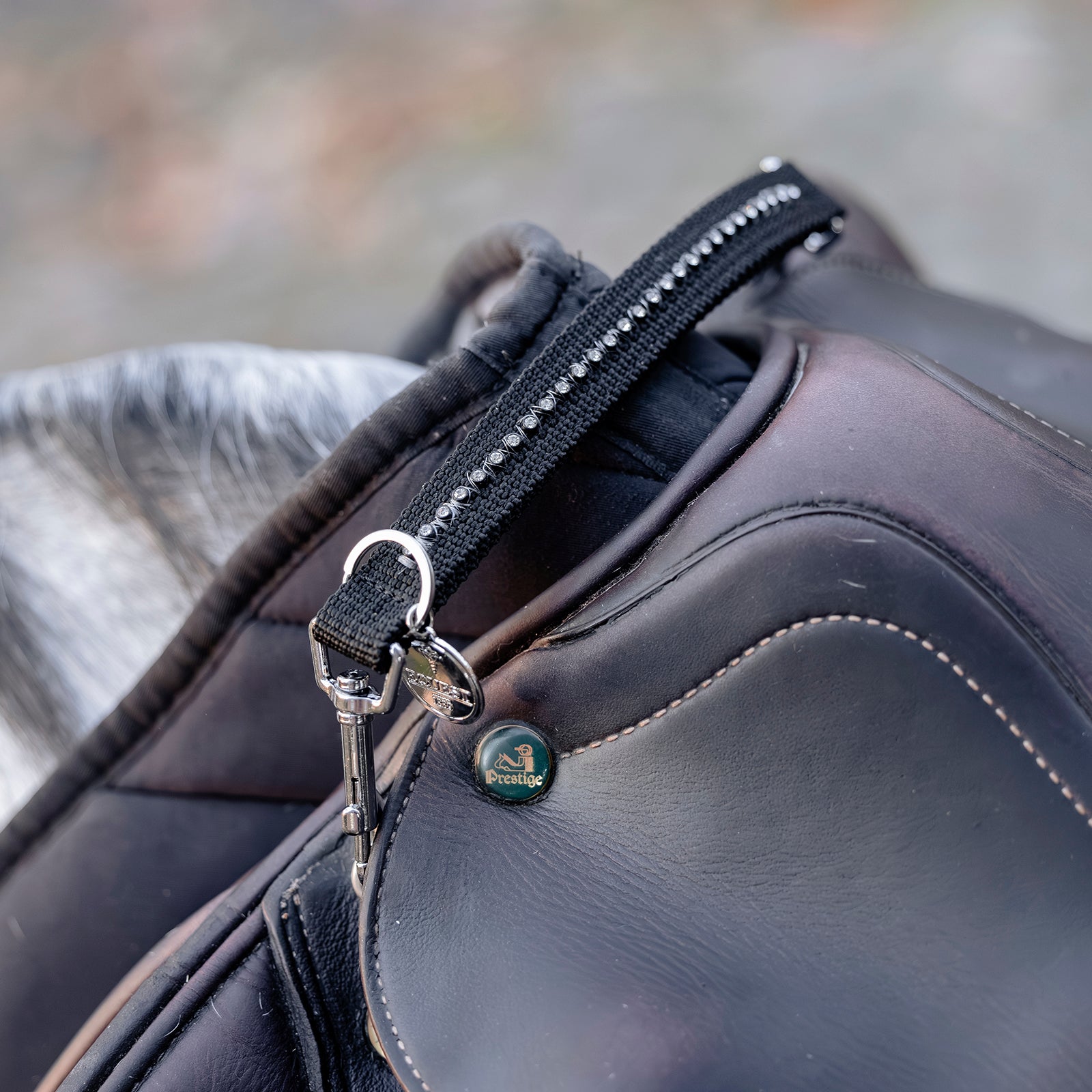 EQUEST Sattelriemen Crystal-Banding