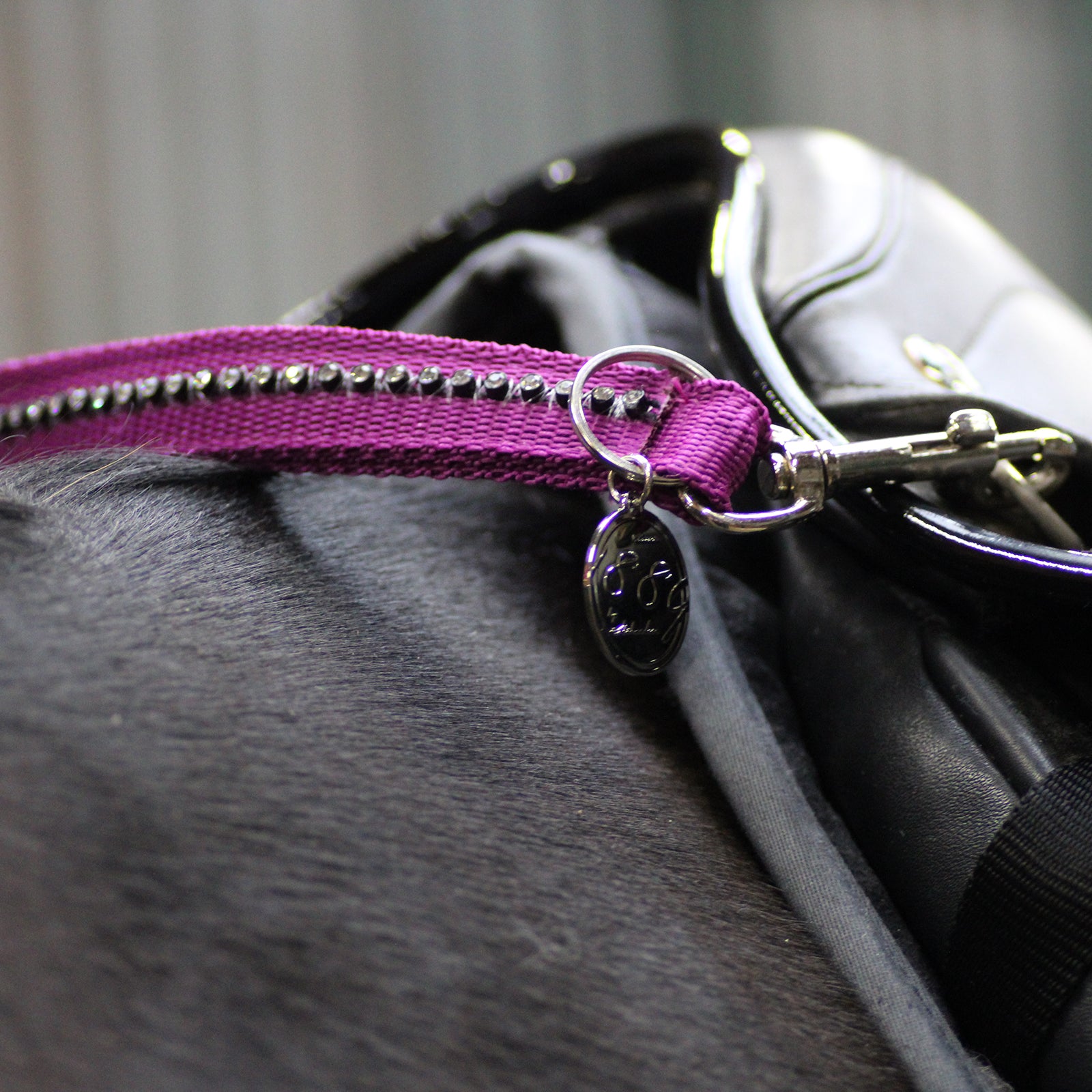 Sangle de selle EQUEST avec bande de cristal