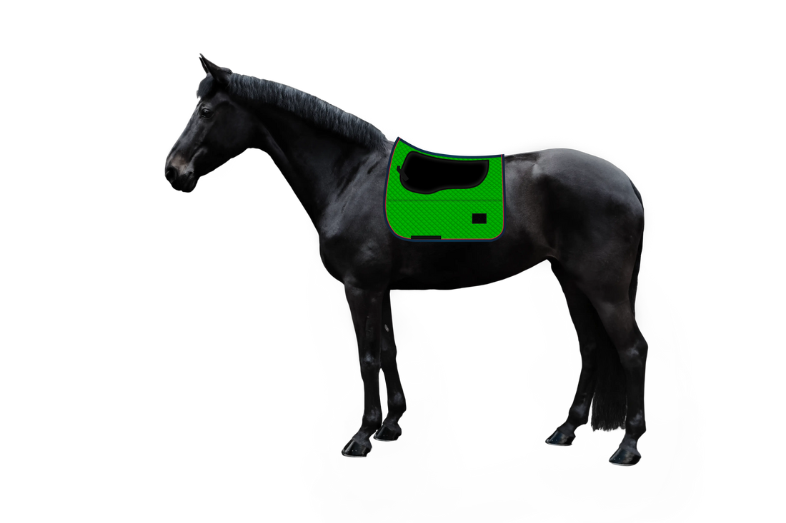 EQUEST by Hoelscher