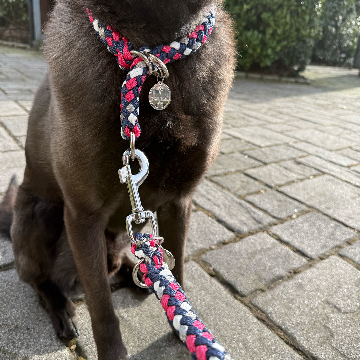 EQUEST Halsband Ultimo mit Zugstopp 17 mm