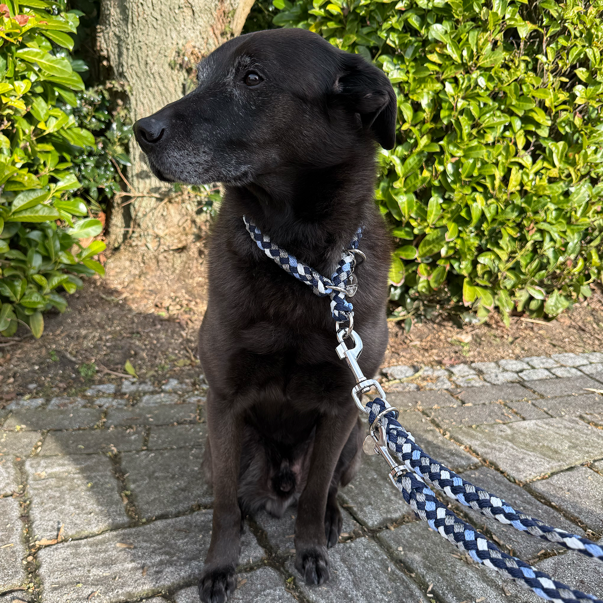 EQUEST Halsband Ultimo mit Zugstopp 17 mm