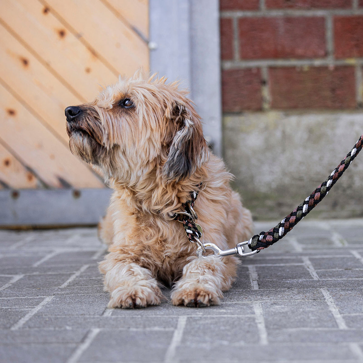EQUEST Halsband Ultimo mit Zugstopp 12 mm