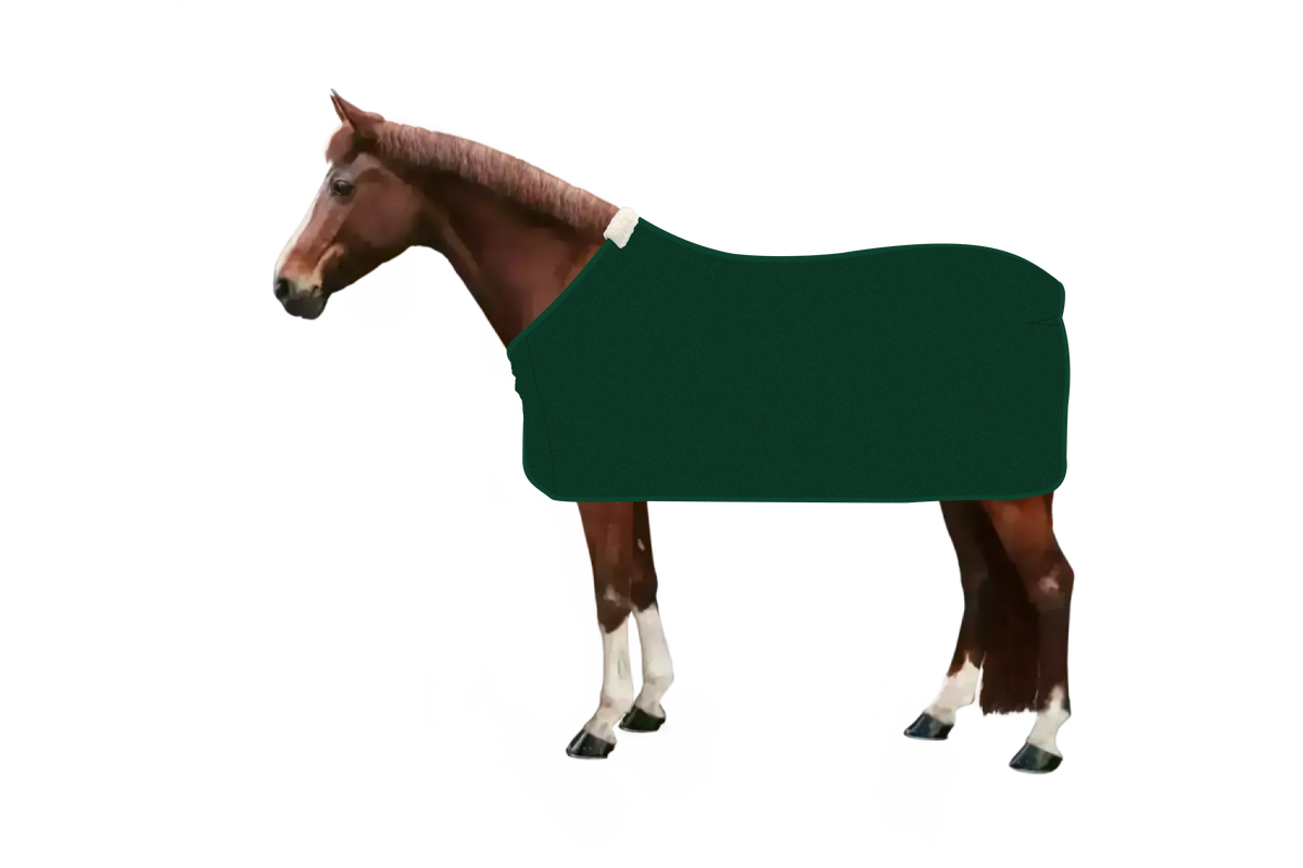 EQUEST Abschwitzdecke Alpha Fleece Regular in Bottle Green mit Einfassung Ton in Ton am Pferd