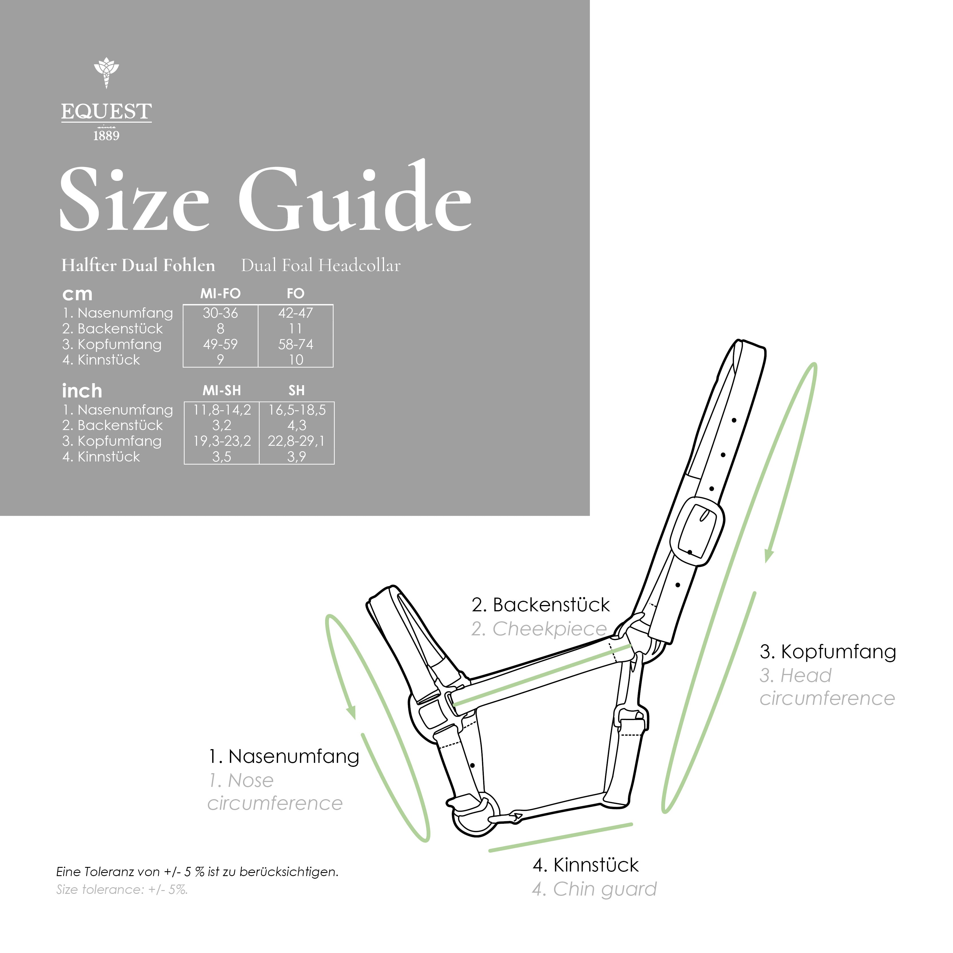 EQUEST Halfter Dual Fohlen | Chrom Finish