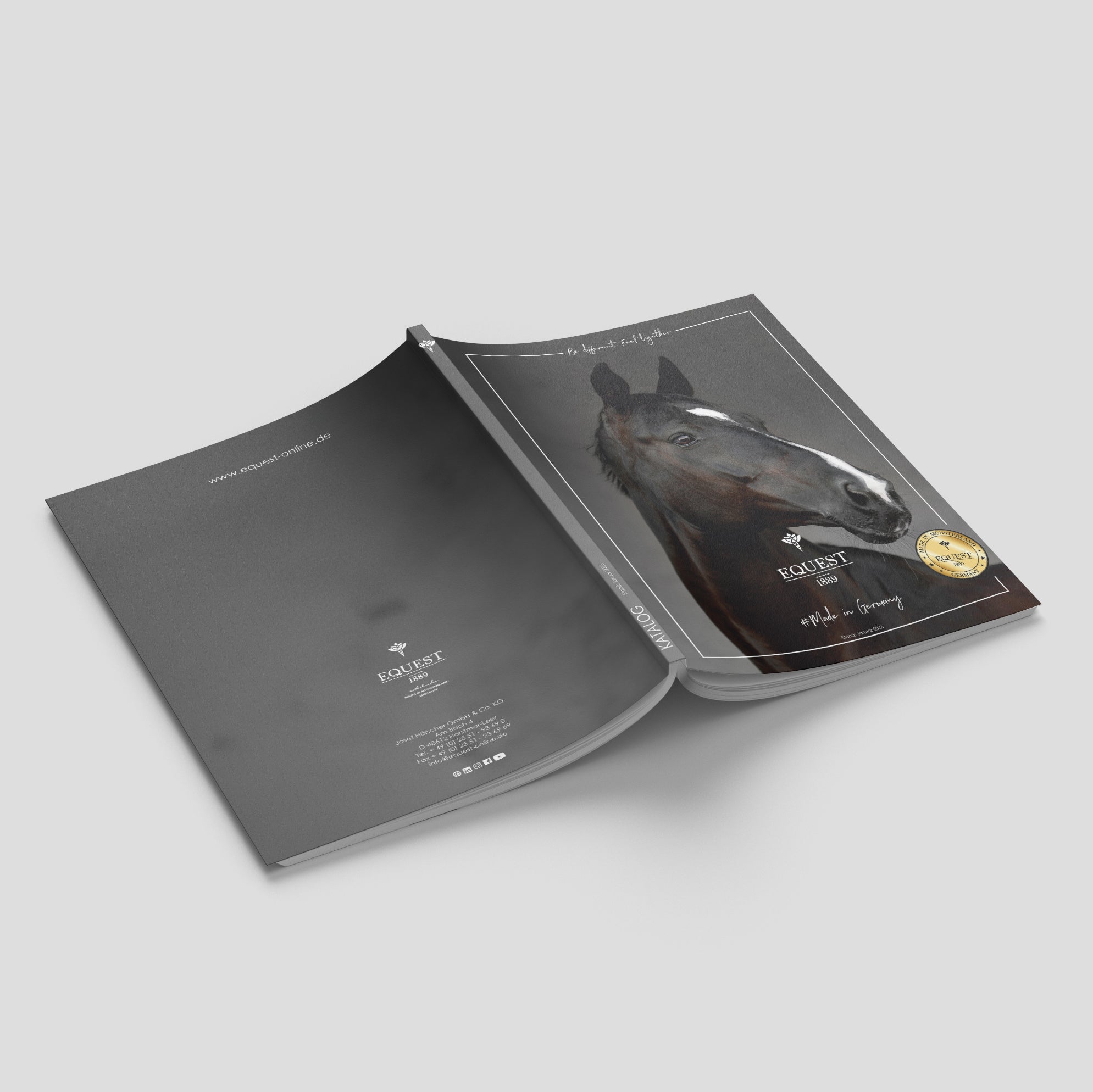 Hauptkatalog