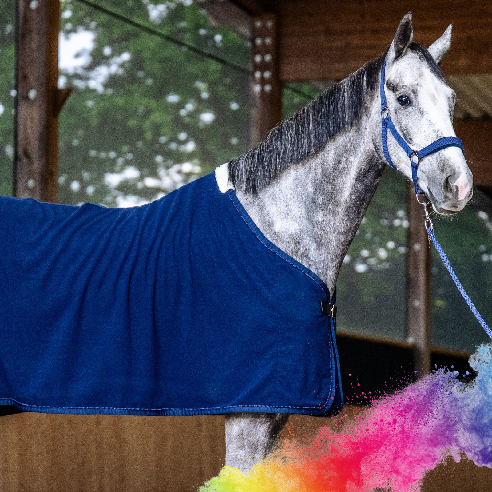 EQUEST Decke Alpha Fleece