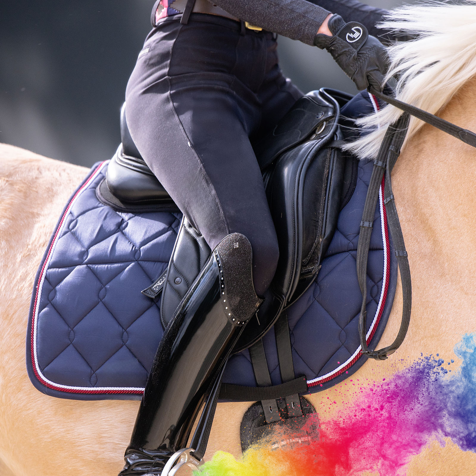 EQUEST Schabracke Macro Avenue