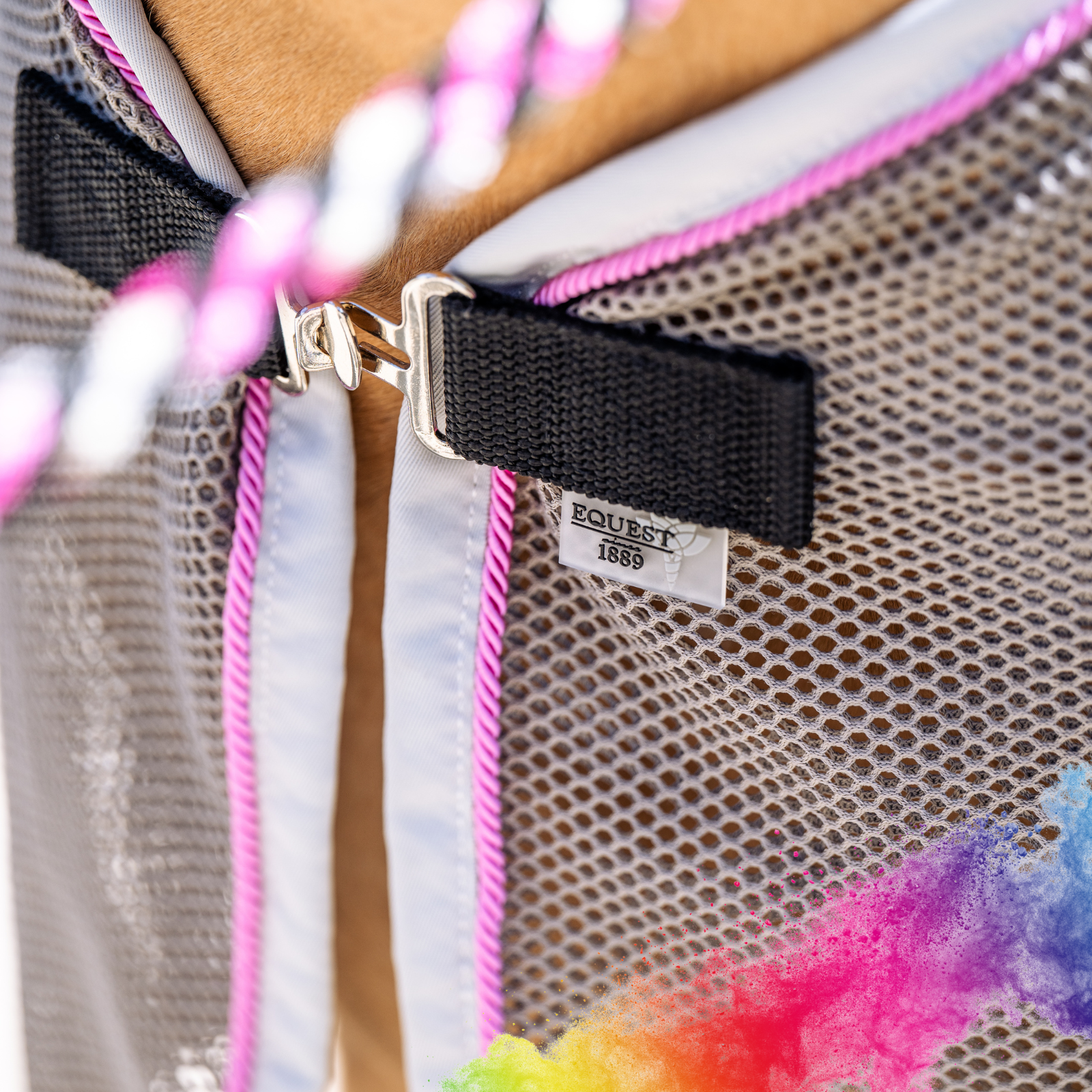 EQUEST Decke Fly Premium