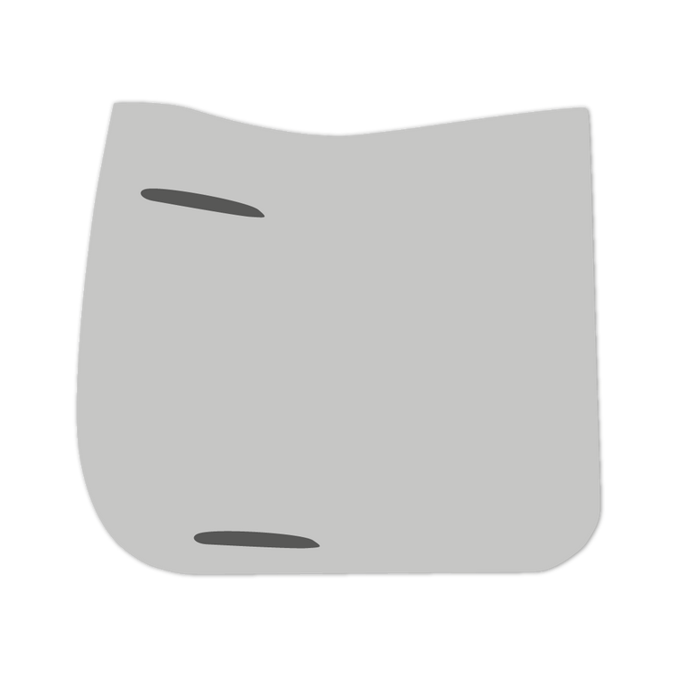 EQUEST by Hoelscher