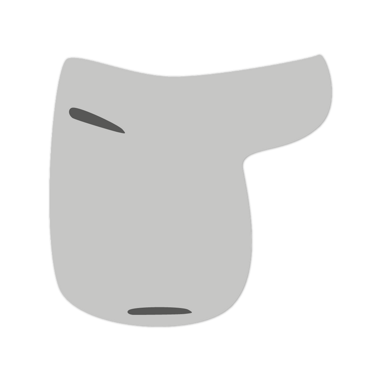 EQUEST by Hoelscher