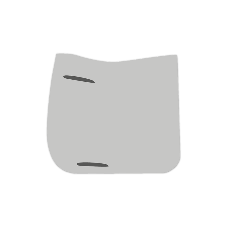 EQUEST by Hoelscher