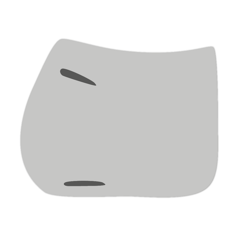EQUEST by Hoelscher