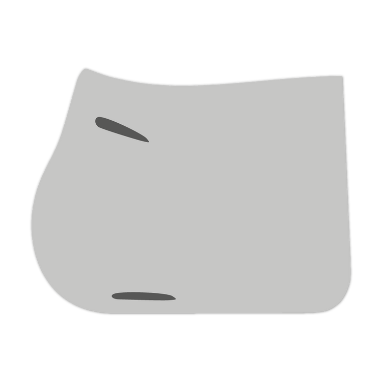 EQUEST by Hoelscher