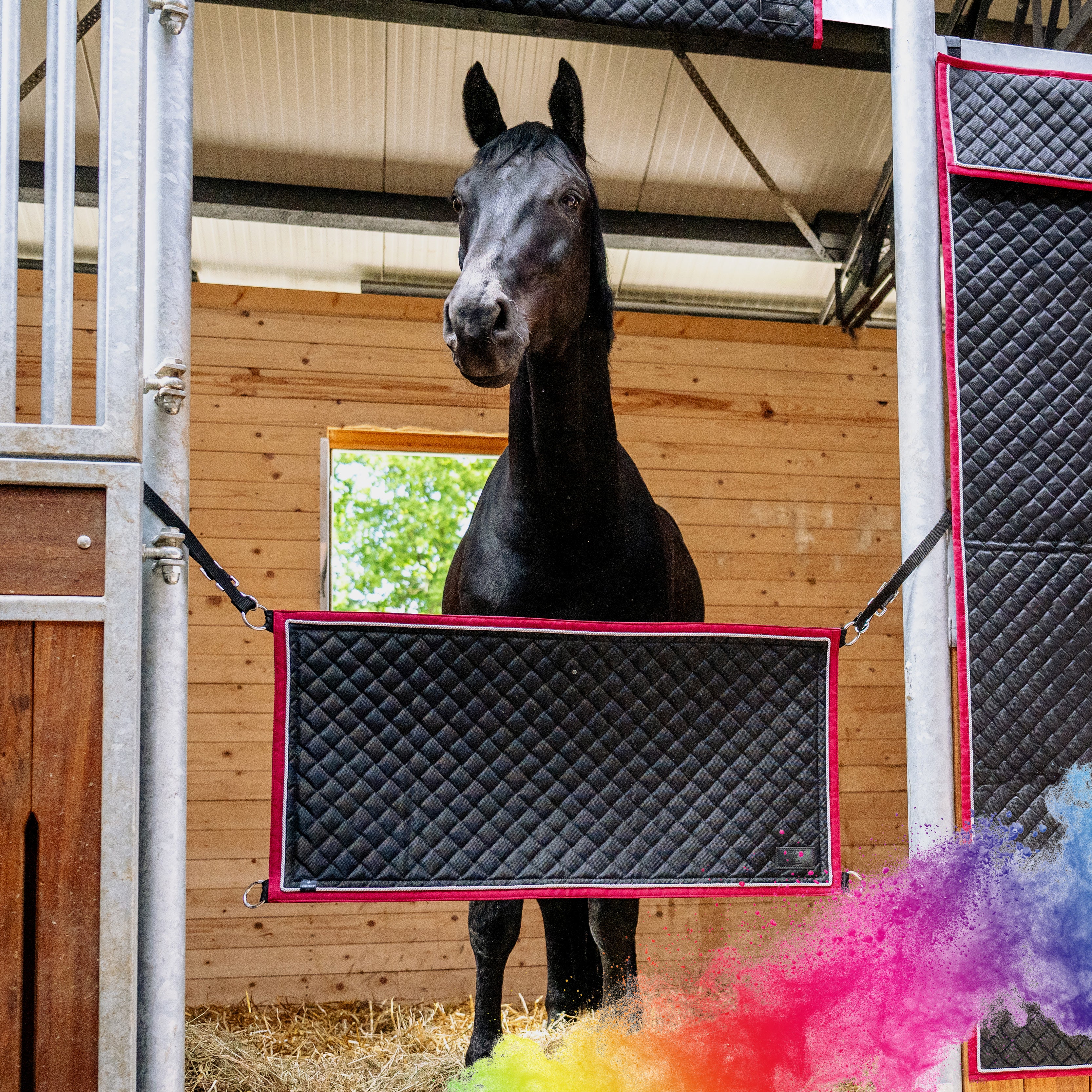 EQUEST Stallguard Premium