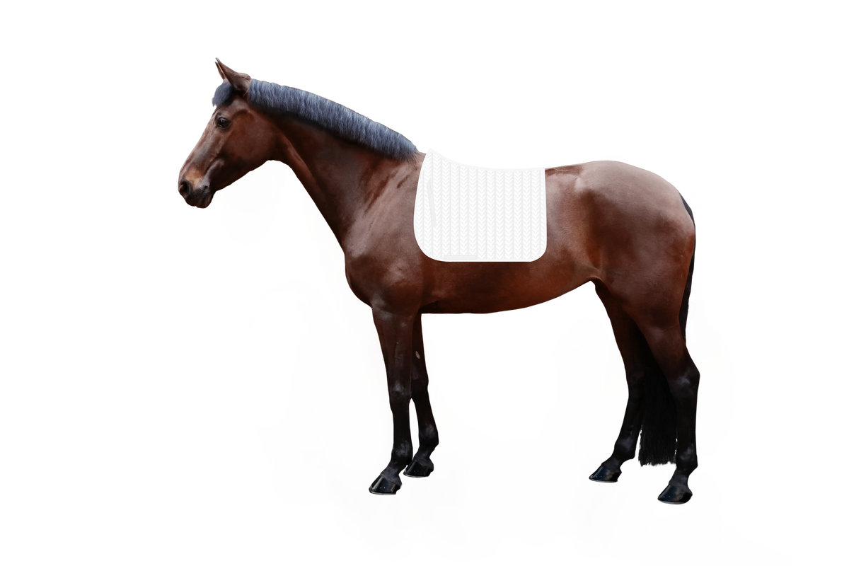 Saddle Pad Macro Arrow