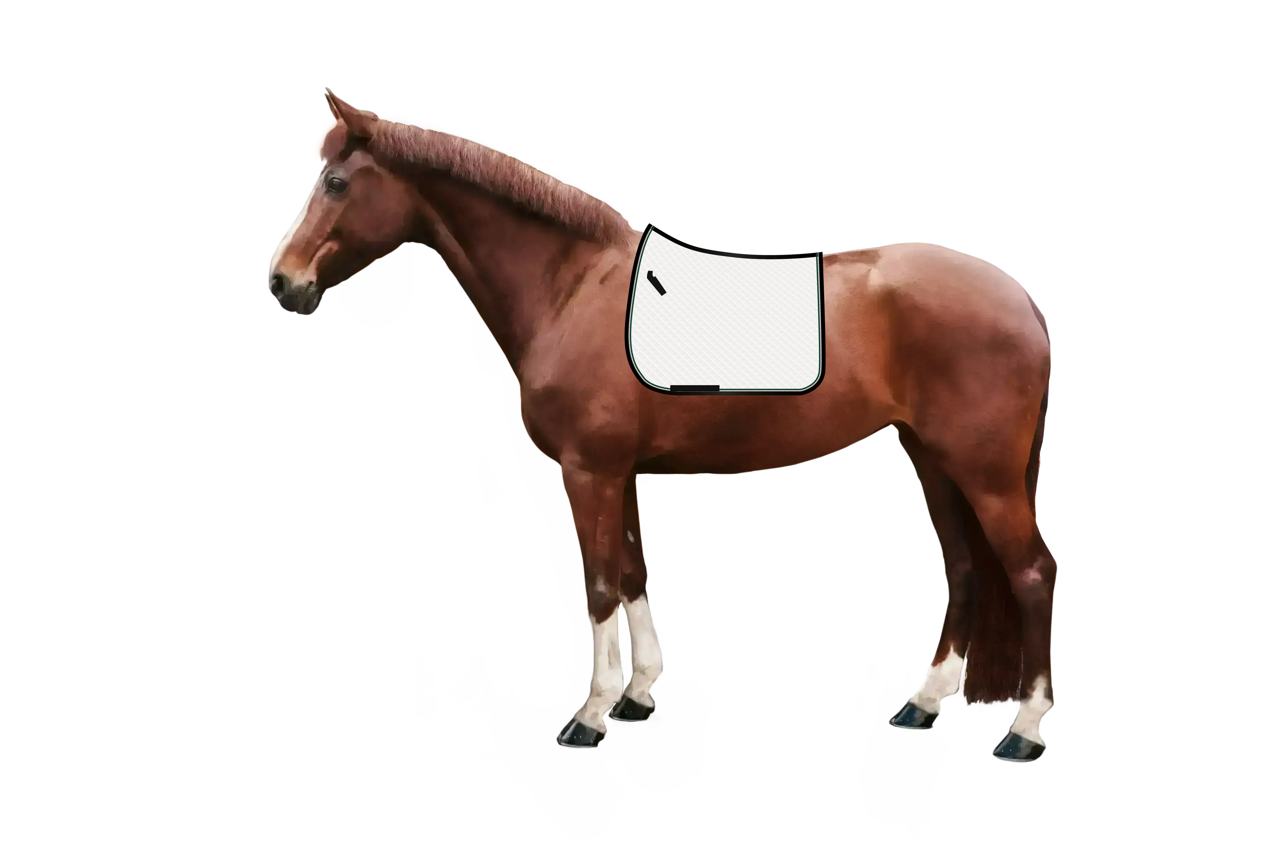 Schabracke Cotton Classic